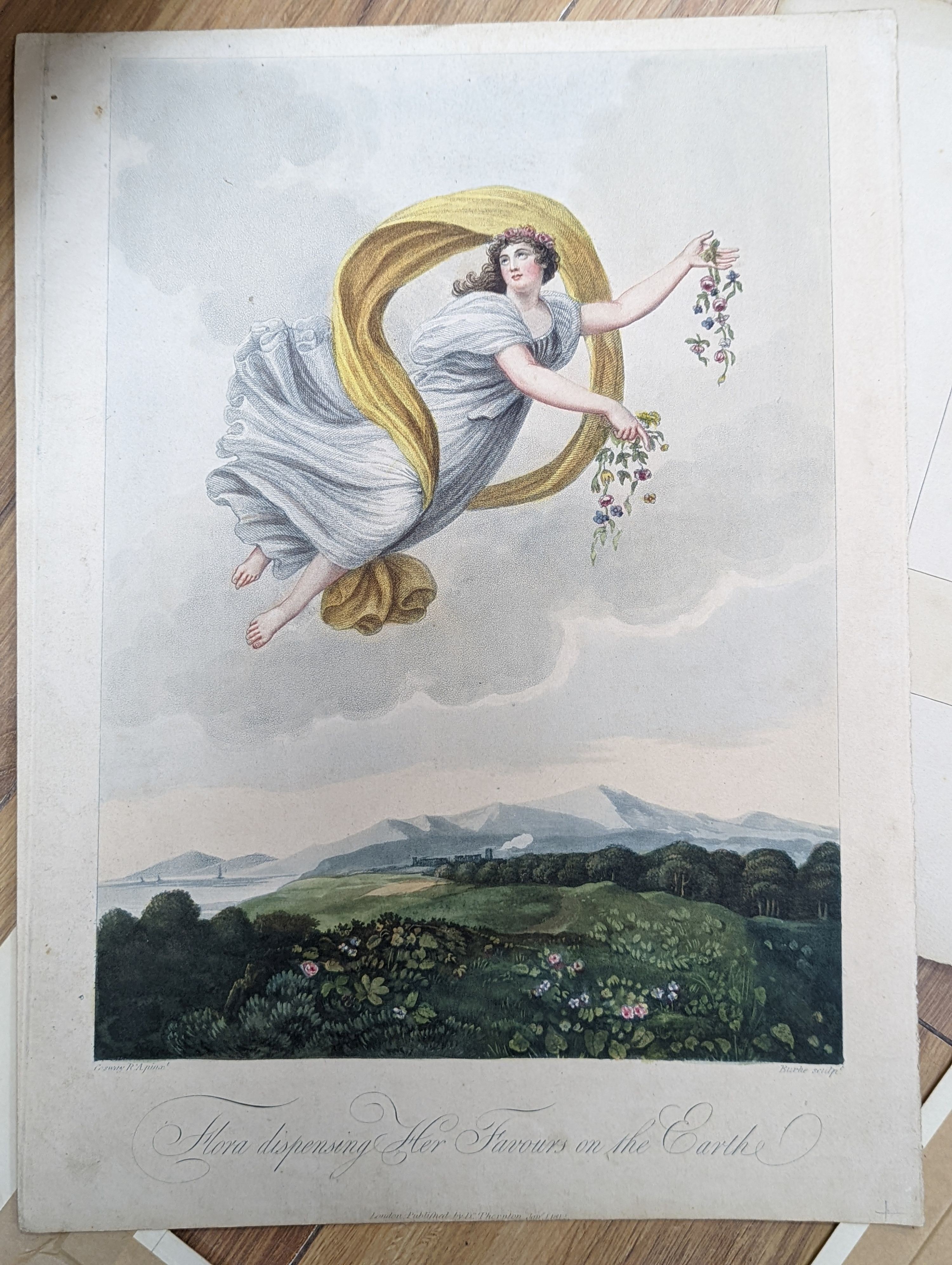 A folio of assorted antique prints
